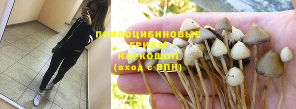 a pvp Алзамай