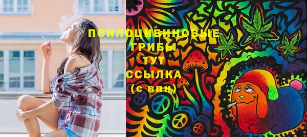 гидра Алексеевка