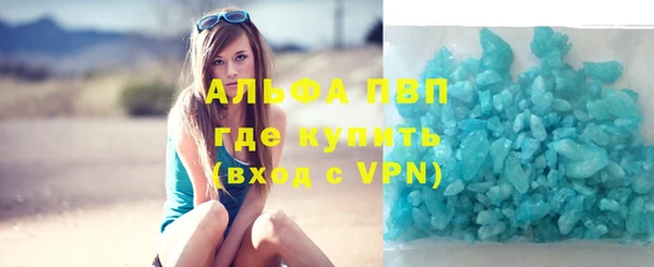 гидра Алексеевка