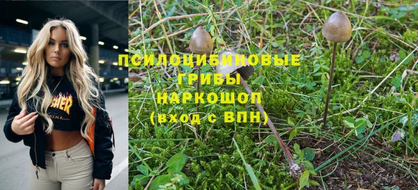 гидра Алексеевка