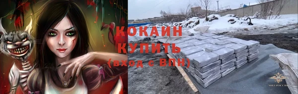гидра Алексеевка